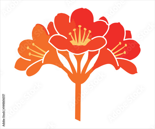 Vector graphic of Clivia Miniata