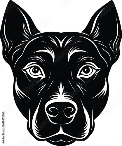 Silhouette Of Dog Face Close Up