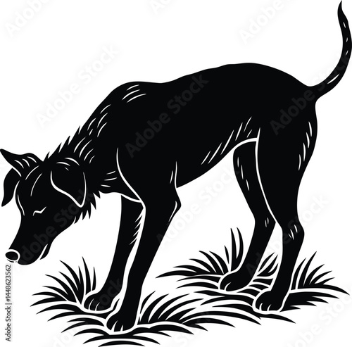 Silhouette Of Dog Sniffing Ground