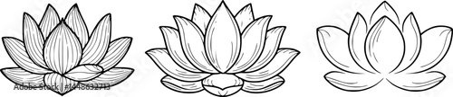 Elegant black and white lotus flower illustrations