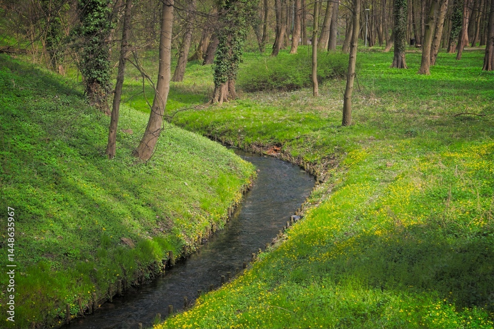 Park Piastowski, Głogów
