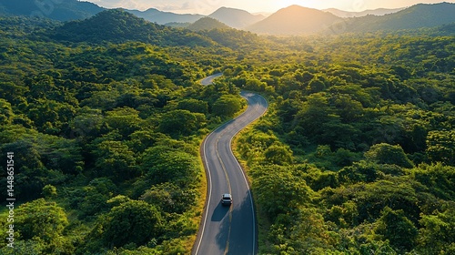 Winding road through lush green forest at sunset.  A car travels along a scenic route