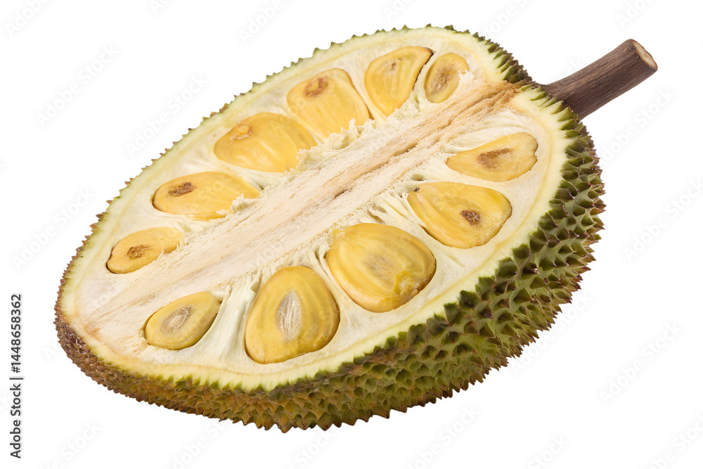 Fototapeta premium jackfruit isolated on white background