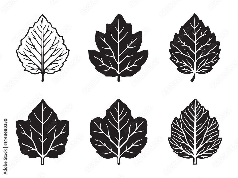 Fototapeta premium Elegant chestnut leaf line illustration for print