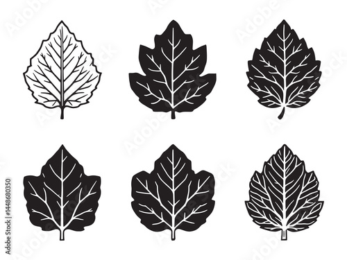 Elegant chestnut leaf line illustration for print