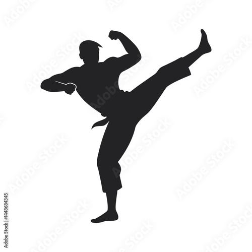 Martial artist performing in black silhouette