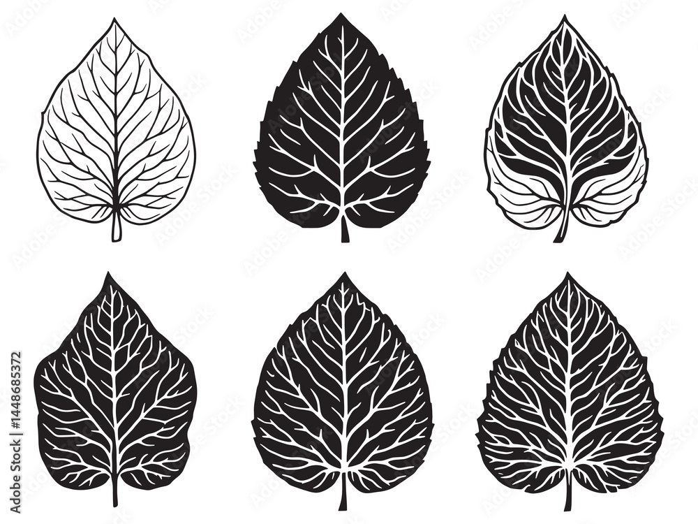 Fototapeta premium Elegant Hand Drawn Coleus Leaf in Detailed Line Art Style