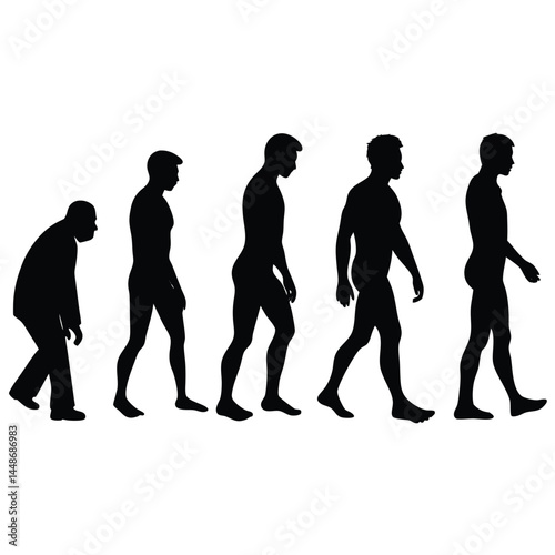 Human Evolution A Visual Journey Through Hominid Development
