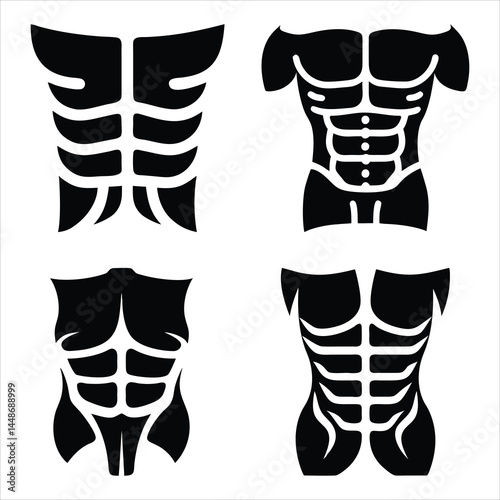 Muscle Anatomy abs silhouette, simple, minimalist, vector 