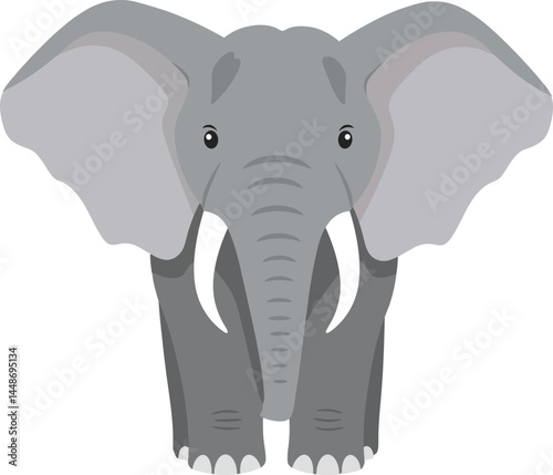 Elephant front view vector illustration with large ears and tusks in grey colors natural style 