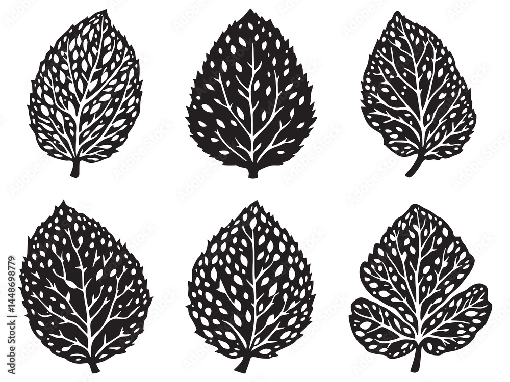 Fototapeta premium Elegant Lychee Leaf Botanical Line Drawing Vector