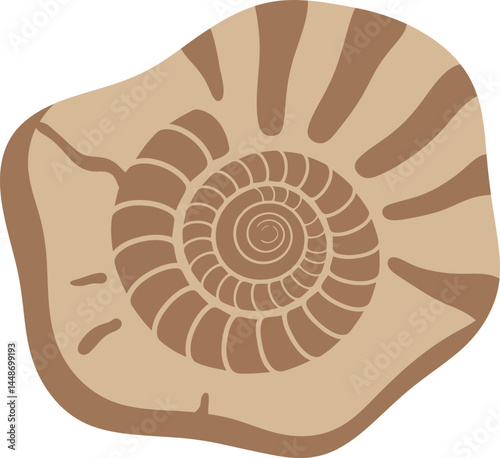 Spiral fossil shell vector illustration in natural earthy brown tones with detailed pattern and textured surface design 