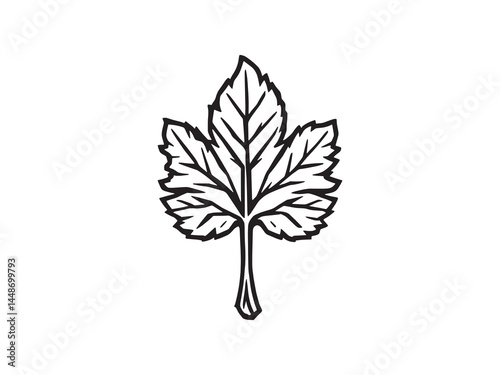 Elegant minimalistic drawing of horseradish plant leaf