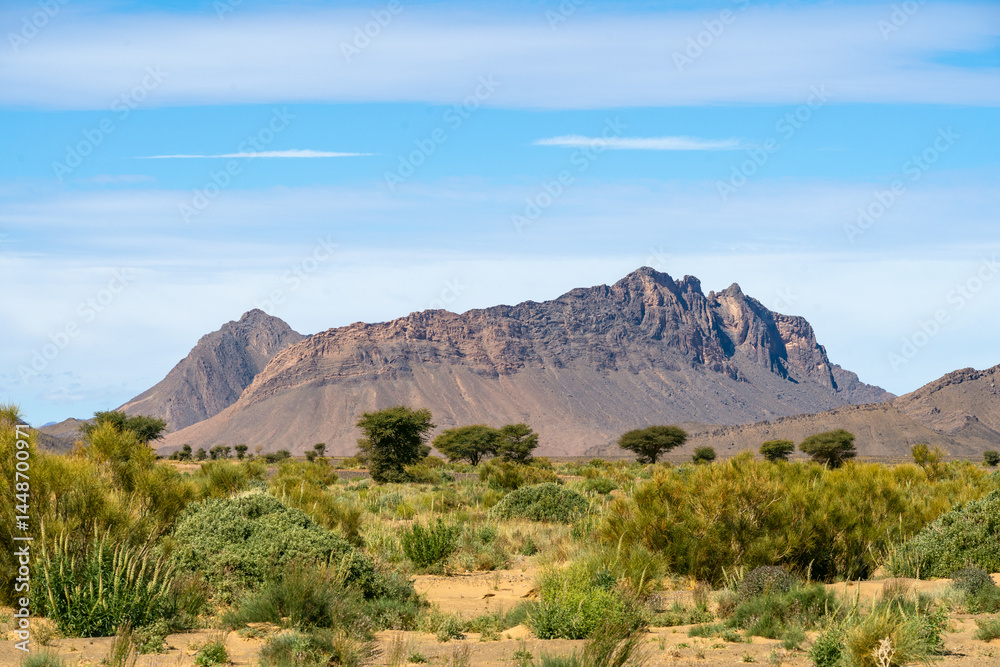 Fototapeta premium Road Trip Morocco