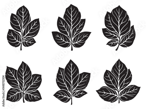 Elegant peppermint leaf line art graphic design