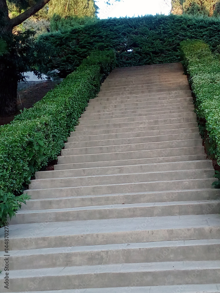 Stairway through lush greenery, scenic outdoor steps, garden pathway
Stairway through lush greenery, scenic outdoor steps, garden pathway