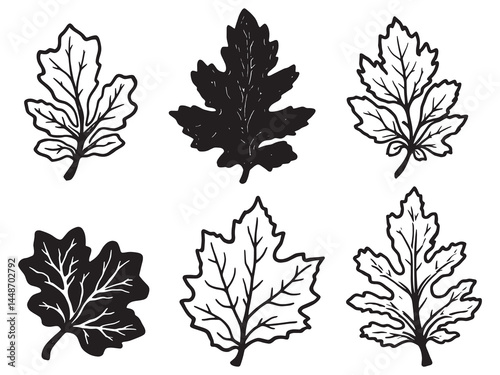 Elegant Poplar Leaf Minimalist Line Art Design Vector