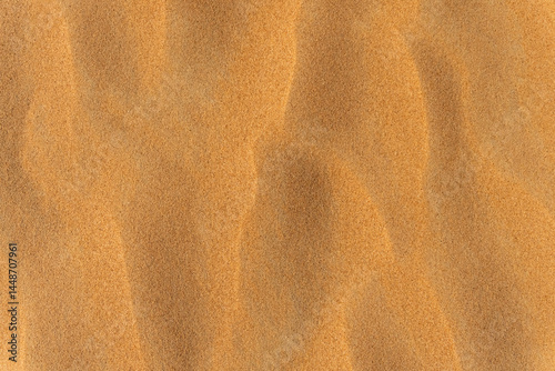 Sand summer smooth texture. Close up of sand wave dune background. Copy space for text. Top view.