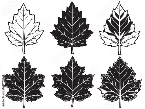 Elegant sycamore leaf outline sketch in vintage style
