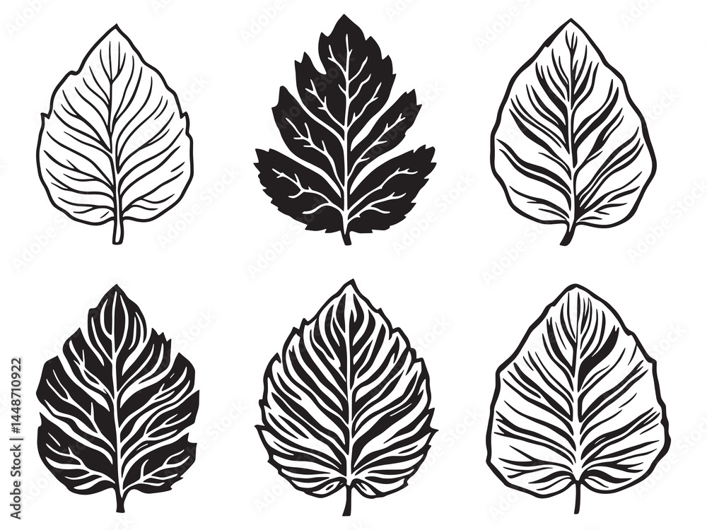 Fototapeta premium Elegant Teak Leaf Line Art for Eco Style Decor