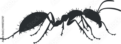 Black silhouette of an ant insect with detailed legs and antennae isolated on white background
