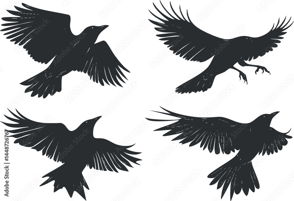 Silhouettes of four flying crows in various wing positions against a white background Silhouettes of four flying crows in various wing positions against a white background