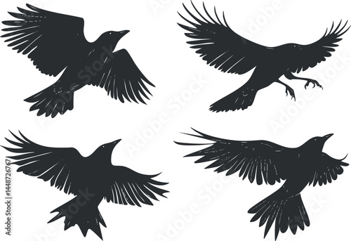 Silhouettes of four flying crows in various wing positions against a white background