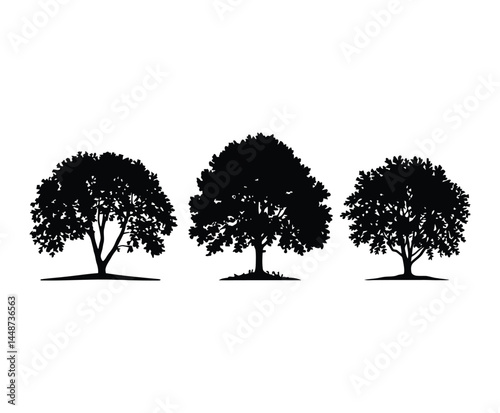 Chestnut Tree Silhouette Set EPS Vector on White Background