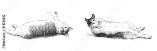 Two cute well-fed domestic cats lying, resting, realistic hand drawn vector illustration isolated on white