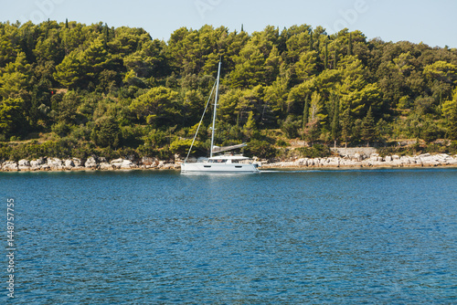 Sailing serenely in tranquil waters, surrounded by beautiful and lush greenery all around,
