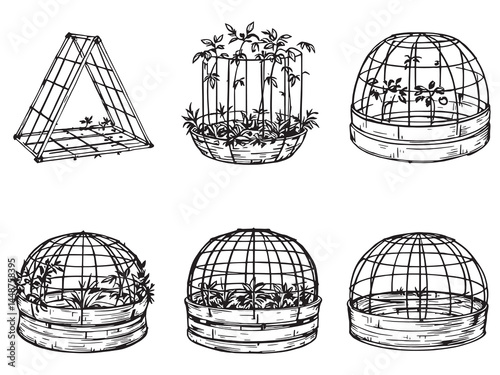 Line art garden structure for supporting tomato plants