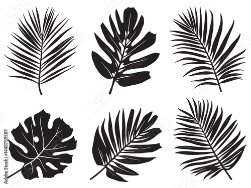 Photos line art of areca palm tree for design use