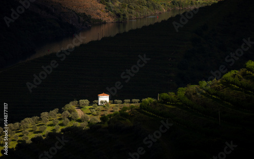 Wine Farm Vineyards in Douro Valley, Vila Nova de Foz Coa, Portugal.