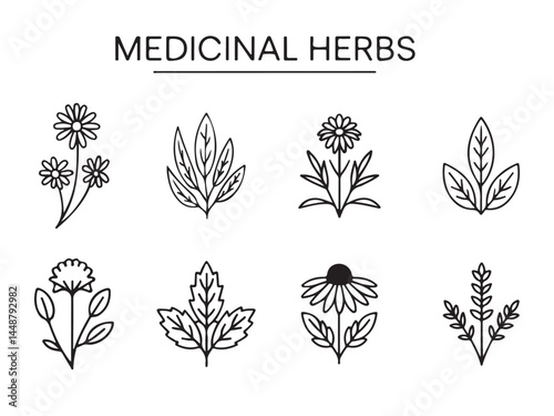 Set of Simple Line Art Medicinal Herb Illustrations