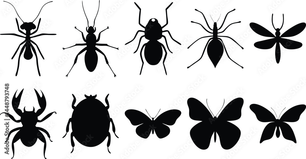 Nature Insect Shapes Nature Insect Shapes