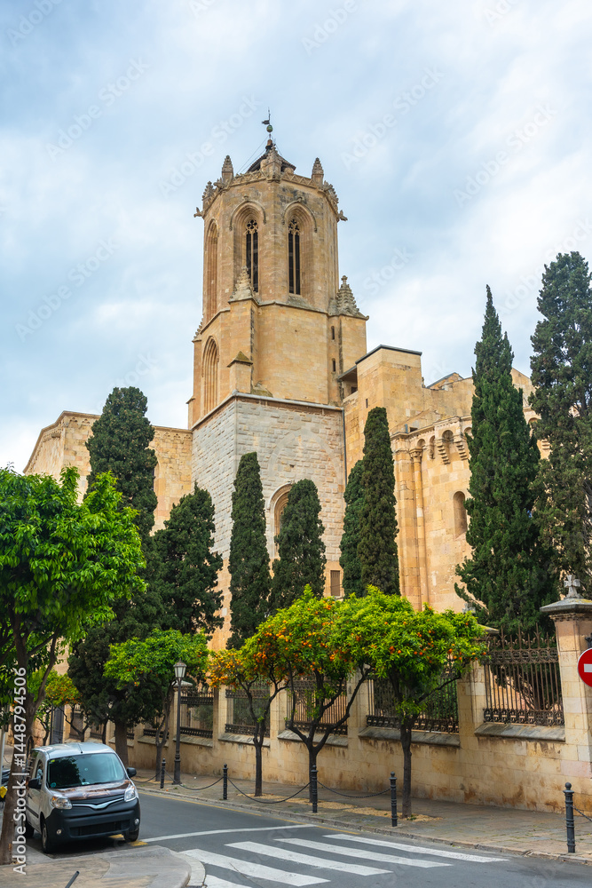 Tarragona cathedral tower rising above lush trees and city street