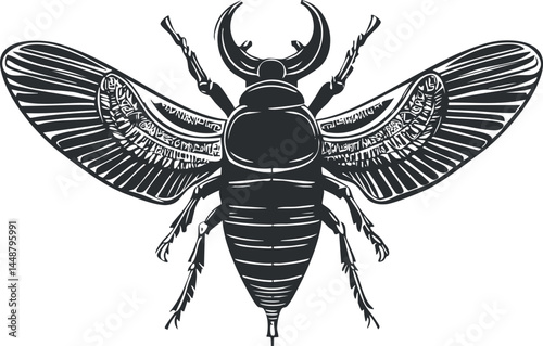 Black and white vector illustration of a scarab beetle with detailed wings and body anatomy
