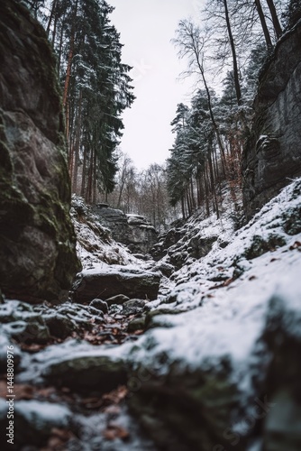 Winter Landscape