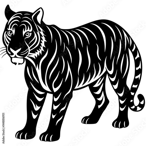 tiger vector illustration