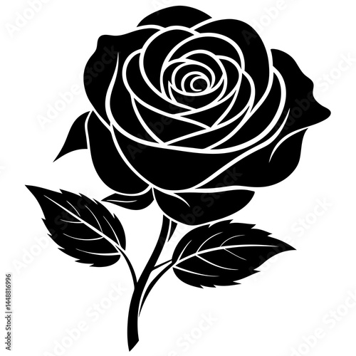 black and white rose silhouette vector illustration