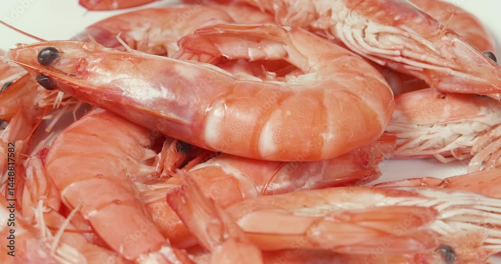 Boiled Shrimp with Shell Intact Rotating Background. Cooked Seafood Prawns with Heads and Tails. Preparing Healthy Sea Food, Cooking, Diet, Nutrition Concept. Macro Shot Boiled Shrimp with Shell Intact Rotating Background. Cooked Seafood Prawns with Heads and Tails. Preparing Healthy Sea Food, Cooking, Diet, Nutrition Concept. Macro Shot