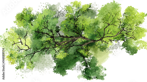 Vector abstract watercolor tree top view isolated on white background for landscape plan and architecture layout drawing, elements for environment and garden, blossom grass, flower blooming   -  