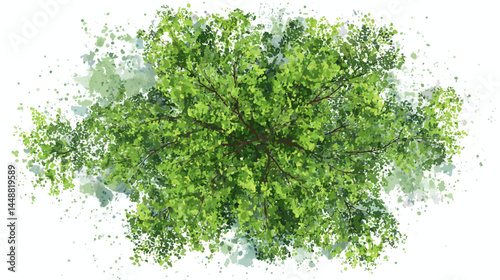 Vector abstract watercolor tree top view isolated on white background for landscape plan and architecture layout drawing, elements for environment and garden, blossom grass, flower blooming   - 