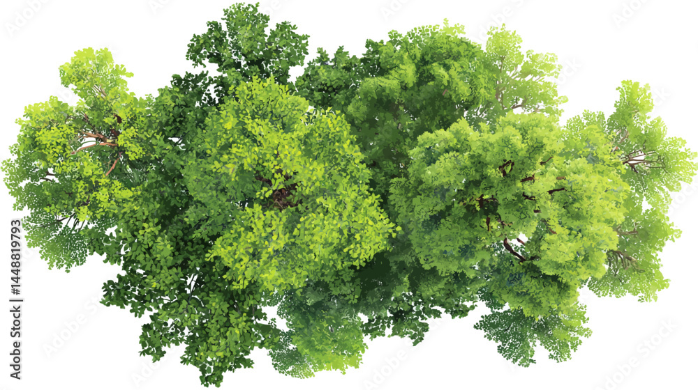 Obraz premium Vector green tree top view isolated on white background for landscape plan and architecture drawing, elements for environment and garden -