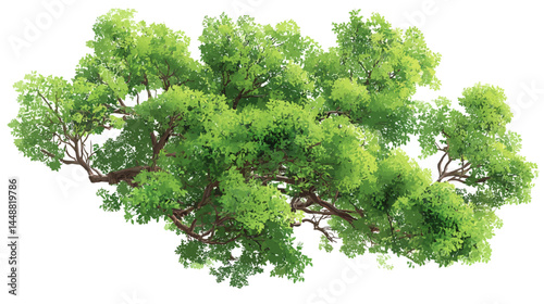Vector green tree top view isolated on white background for landscape plan and architecture drawing, elements for environment and garden   -  