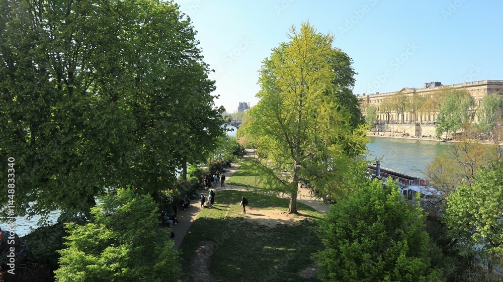 Fototapeta premium Vue sur le square du Vert-Galant à Paris, petit jardin planté d’arbres à la pointe de l’île de la Cité, avec vue sur le palais du Louvre, au printemps (France)