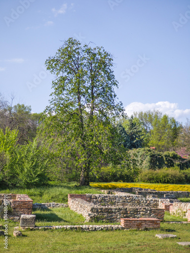 Obraz na płótnie Roman fortifications in town of Hisarya, Bulgaria w salonie