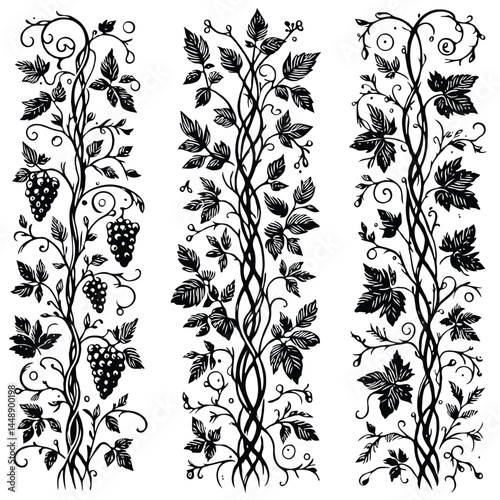 Set of silhouettes vine branches leaves. Grapes vineyard, grapevine black and white illustration. Wine labels design, branding Borders hand drawn decorative vines and berries. Elegant botanical motifs
