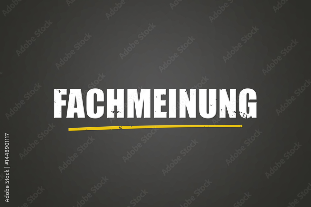 Obraz premium Fachmeinung (Expert opinion) - A blackboard with white text.