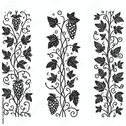 Set of silhouettes vine branches leaves. Grapes vineyard, grapevine black and white illustration. Wine labels design, branding Borders hand drawn decorative vines and berries. Elegant botanical motifs